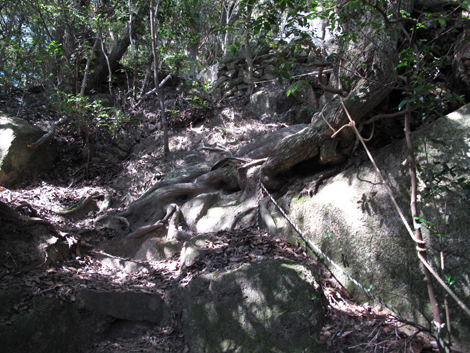 20140922hike (292)